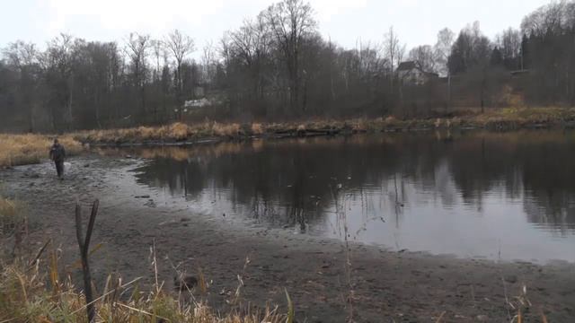 Окунь в пруду клюёт каждый заброс. Ловля на спиннинг поздней осенью до первого льда смотреть онлайн