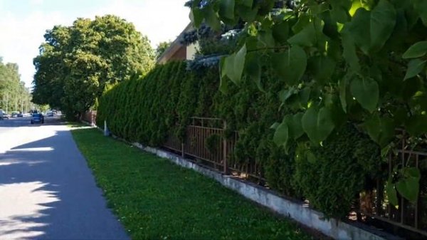 Tallinn August. Дорога в Таллин из Санкт-Петербурга. Первые дни в Эстонии