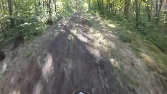Stels vortex 150. Небольшие покатушки по лесу смотреть онлайн