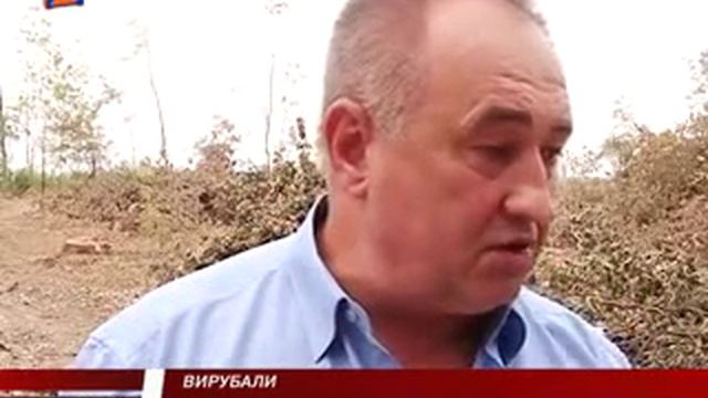 Віктор Балога про незаконну рубку лісу в Закарпатті смотреть онлайн