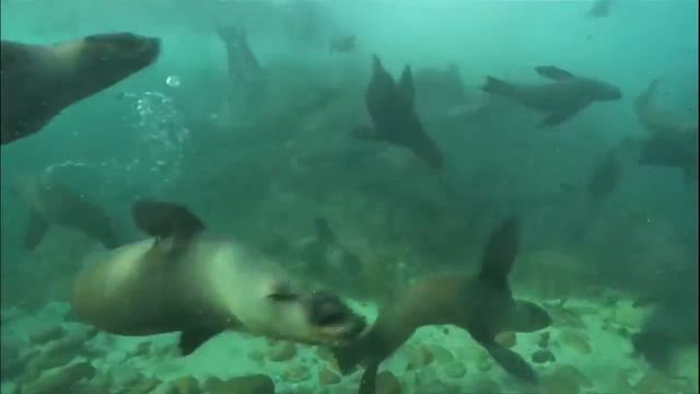 The Secret Planet Earth HD смотреть онлайн