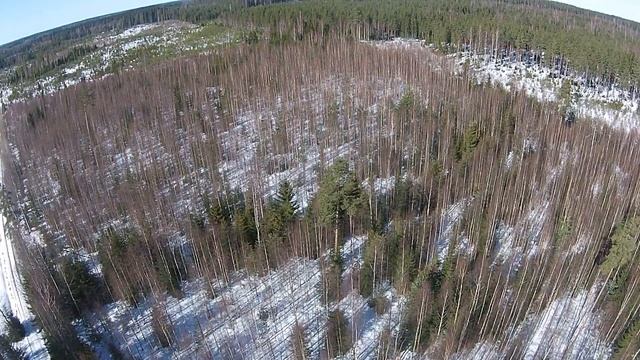 Полет над зимним лесом смотреть онлайн