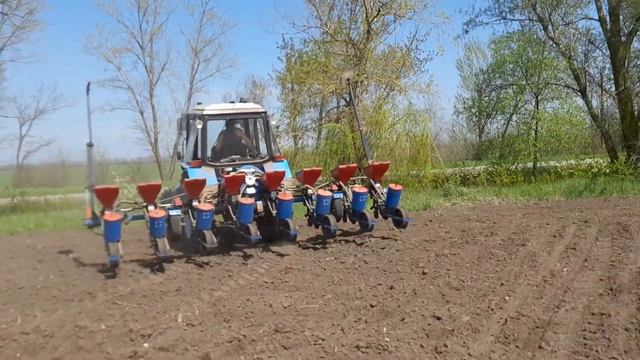 Начали сеять подсолнечник 2021. МТЗ 920, сеялка СПП-8 смотреть онлайн