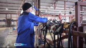 Дояр и доярка из Алтайского края поедут на всероссийский конкурс мастеров машинного доения