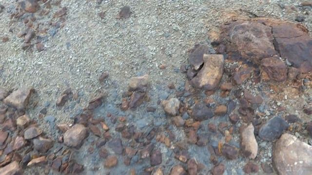 Поиски окаменелостей. Часть 2. - Акулы Западной Сибири смотреть онлайн