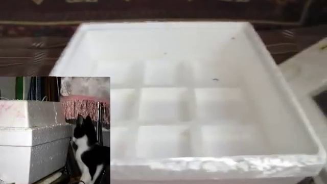 Инкубатор МИ 30 обзор