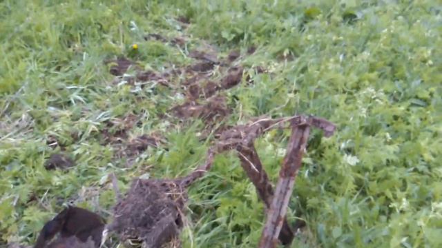 Коп 2019-пол тонны накопал,время не зря потерял:) смотреть онлайн