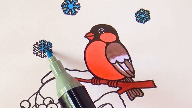 Снегирь на Ветке Рябины Раскраски для Малышей | Bullfinch on Rowan Branch Coloring for Kids смотреть онлайн