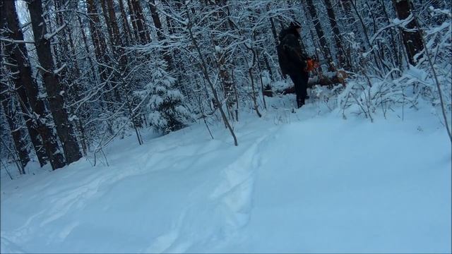 Снегоход рыбинка. Делаем дрова//2 смотреть онлайн
