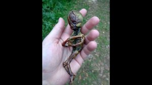 Гуманоиды, которые живут среди нас! Они обнаружены!