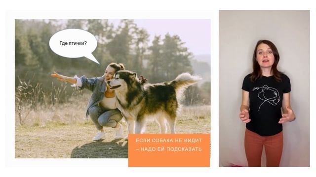 LAT смотреть онлайн