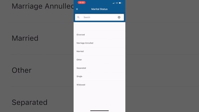CBP ONE: КАК БЫСТРО И ПРАВИЛЬНО ЗАПОЛНИТЬ АНКЕТУ / ЛАЙФХАКИ #verita #верита #сбп1 #u4u #cbp1 смотреть онлайн