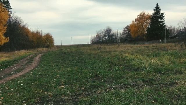 Ищу медные монеты с ТХ850 на старой дороге. Короткая версия видео