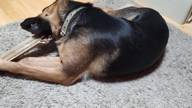 Всё-таки я нашла способ заинтересовать Альмуню этой вкусняшкой.) смотреть онлайн