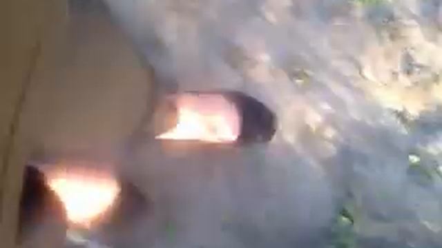Первобытные люди на земле)) смотреть онлайн