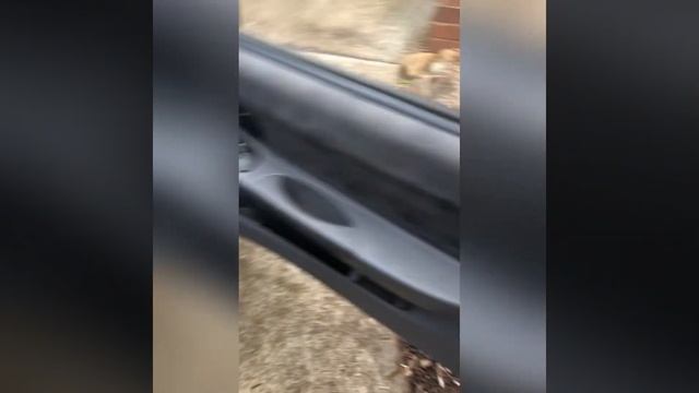 2004 Hyundai Accent - $&@% won’t start смотреть онлайн