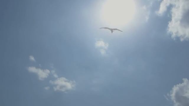 Рыбалка на Креветку! Испытания Самодельной Чилимки на Море! Ловим Чилима! смотреть онлайн