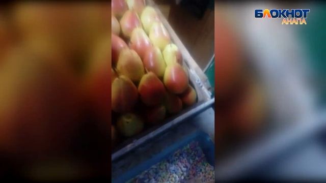 Как обвешивают покупателей в Витязево под Анапой смотреть онлайн