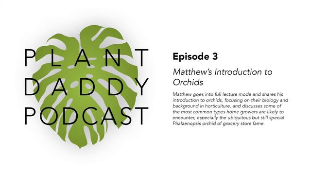 Ep. 3 - Matthew's Introduction to Orchids смотреть онлайн