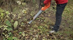 Обзор электрической воздуходувки-пылесоса DAEWOO DABL 3000E