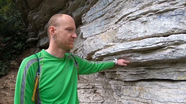 Тисо-самшитовая роща в Сочи | Россия смотреть онлайн