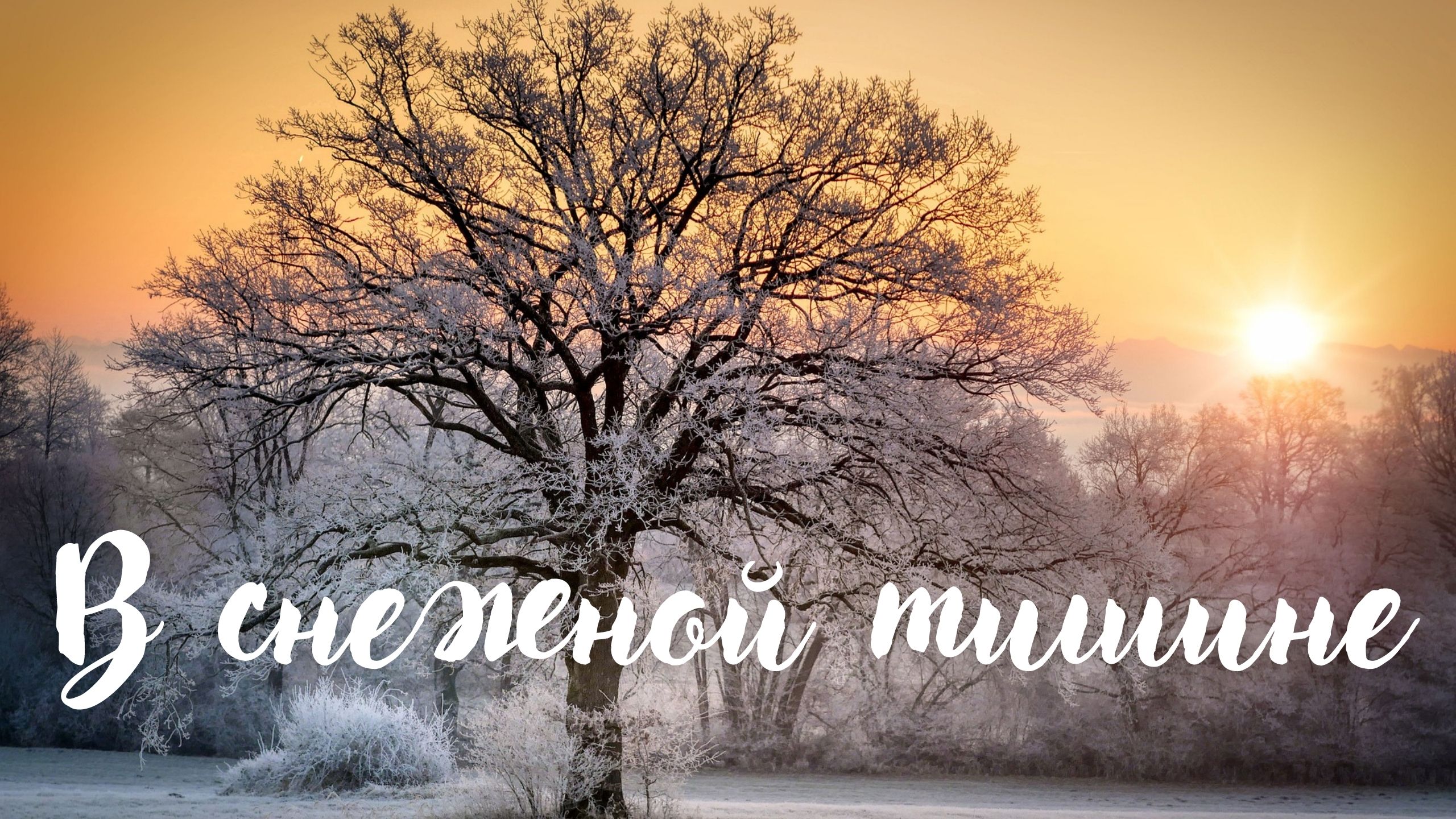 В снежной тишине. Красивая музыка. Музыка для души. смотреть онлайн