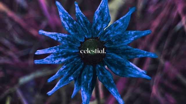 5 минут управляемой медитации 🧘♀️ 🧘♂️ || celestial. смотреть онлайн