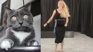 Выйду ночью в кухню с котом