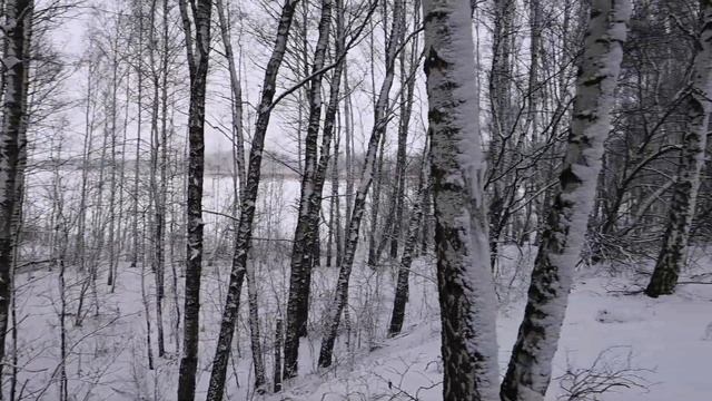 ЛЕС СКОПИН смотреть онлайн