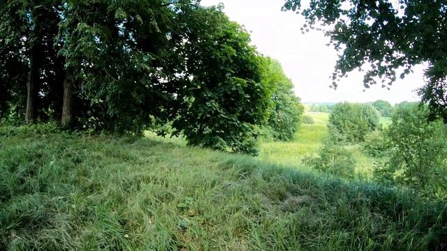 Показала свой дом в глухой белорусской деревне и отвела к археологам.
