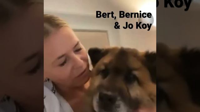 Chelsea Handler Has 3 Babies смотреть онлайн