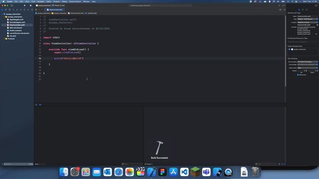 Swift Programming Logic, #88: Escape Characters смотреть онлайн