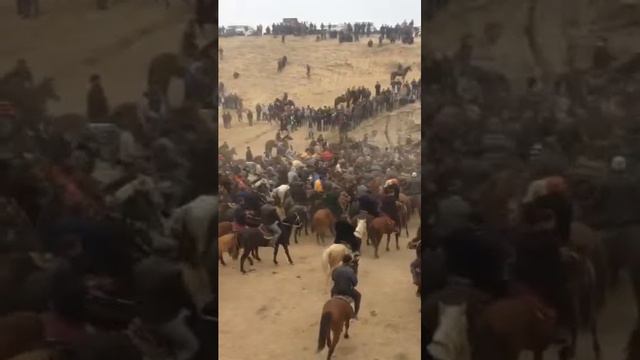 Араб хона купкари смотреть онлайн