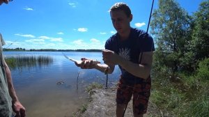 ОЗЕРНИНСКОЕ ВОДОХРАНИЛИЩЕ | РЫБАЛКА И ОТДЫХ С НОЧЕВКОЙ | Рыбалка в Подмосковье Июнь