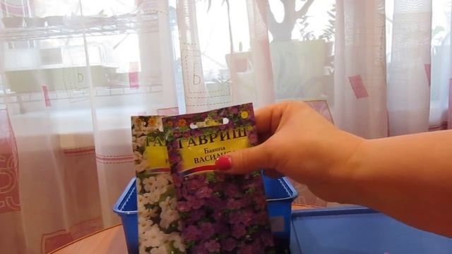 Сею петунию,калибрахоа смотреть онлайн