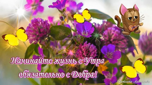 С Добрым Летним Утром! Для души кусочек счастья! смотреть онлайн