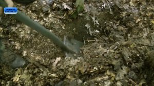 МЯСНОЙ БОР ГЛАЗАМИ ПЕРВЫХ ПОИСКОВИКОВ / ЧАСТЬ 5