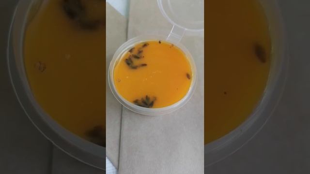 Как Хранить Масло ГХИ Почему В Морозилке // С.Х.У смотреть онлайн