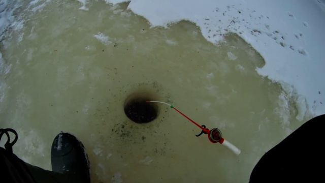 Нева,плотва,и окуньки. смотреть онлайн