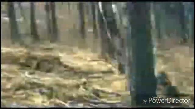 Песня про следермена ( реп дамбо) смотреть онлайн