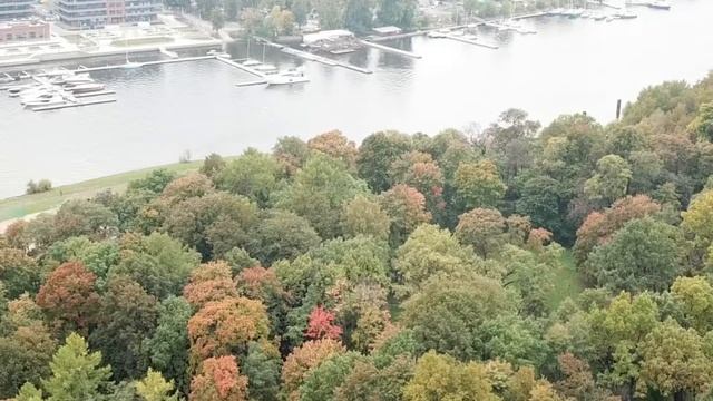 Елагин остров. ЦПКиО им. С.М. Кирова. Прогулочные "лодки сирот". смотреть онлайн