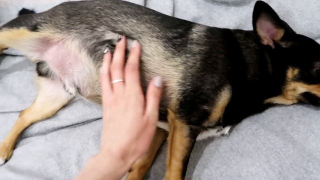 VLOG:  ЗЛЮСЬ♀Косметолог/боулинг ♥ дом/ Джек