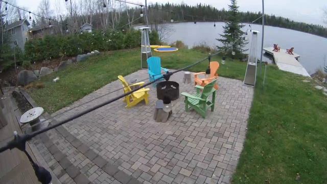 FOX ATTACK: caught on nest security cameras, LET GO OF MY CHICKEN!!! смотреть онлайн