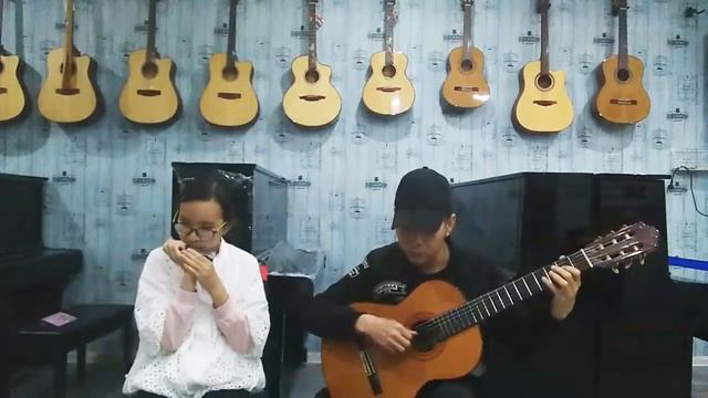 The Swan - Harmonica+Guitar 口琴+吉他 смотреть онлайн