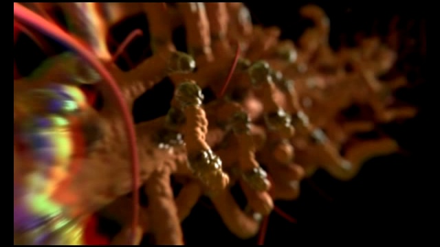 Алкоголь и гормональная система