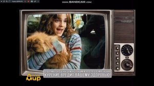 фрагмент эфира и свидетельство о регистрации на детском мире (8.07.2018)