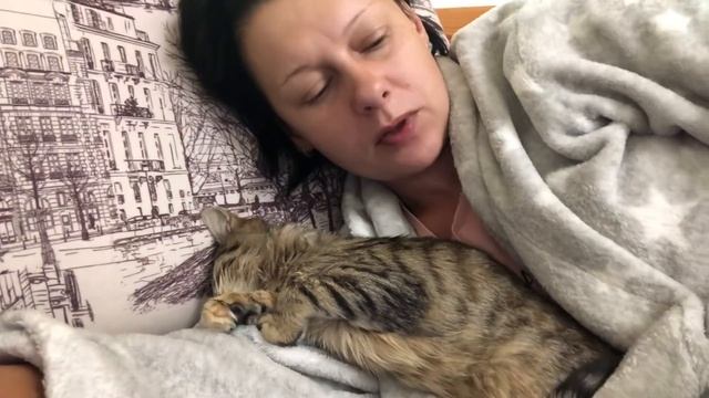 Вот такое у нас сегодня настроение (01.11.20) смотреть онлайн