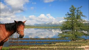 Природные достояния России. Самые заповедные места страны. Объекты ЮНЕСКО.