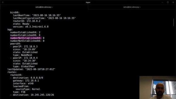 BGP for Kubernetes with Calico open-source