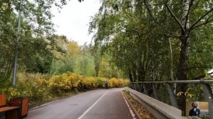 Фельдшер «Скорой» купила у сиротки шкатулку на сельской ярмарке, а открыв её дома, оцепенела...